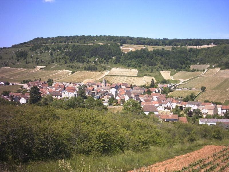 Le Lodge Du Parc Beaune  Esterno foto